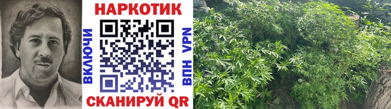 Как найти наркотики Казань A-PVP  Псилоцибиновые грибы  Меф  Бошки Шишки  Гашиш  Кокаин 