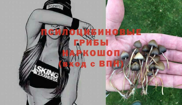 синтетический гашиш Нязепетровск
