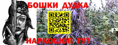эйфоретик Гай