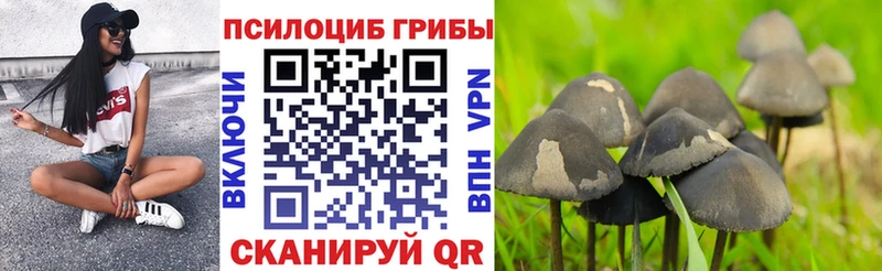 Галлюциногенные грибы ЛСД  блэк спрут ссылки  Казань 