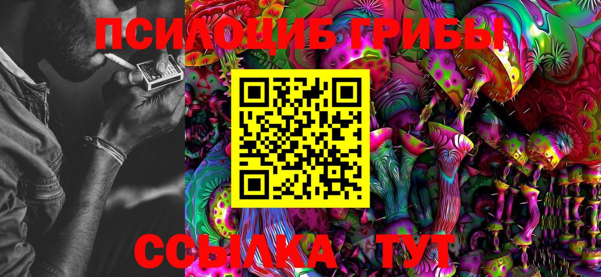 Галлюциногенные грибы Psilocybe  Казань 